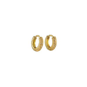Small zirconia and gold filled hoops